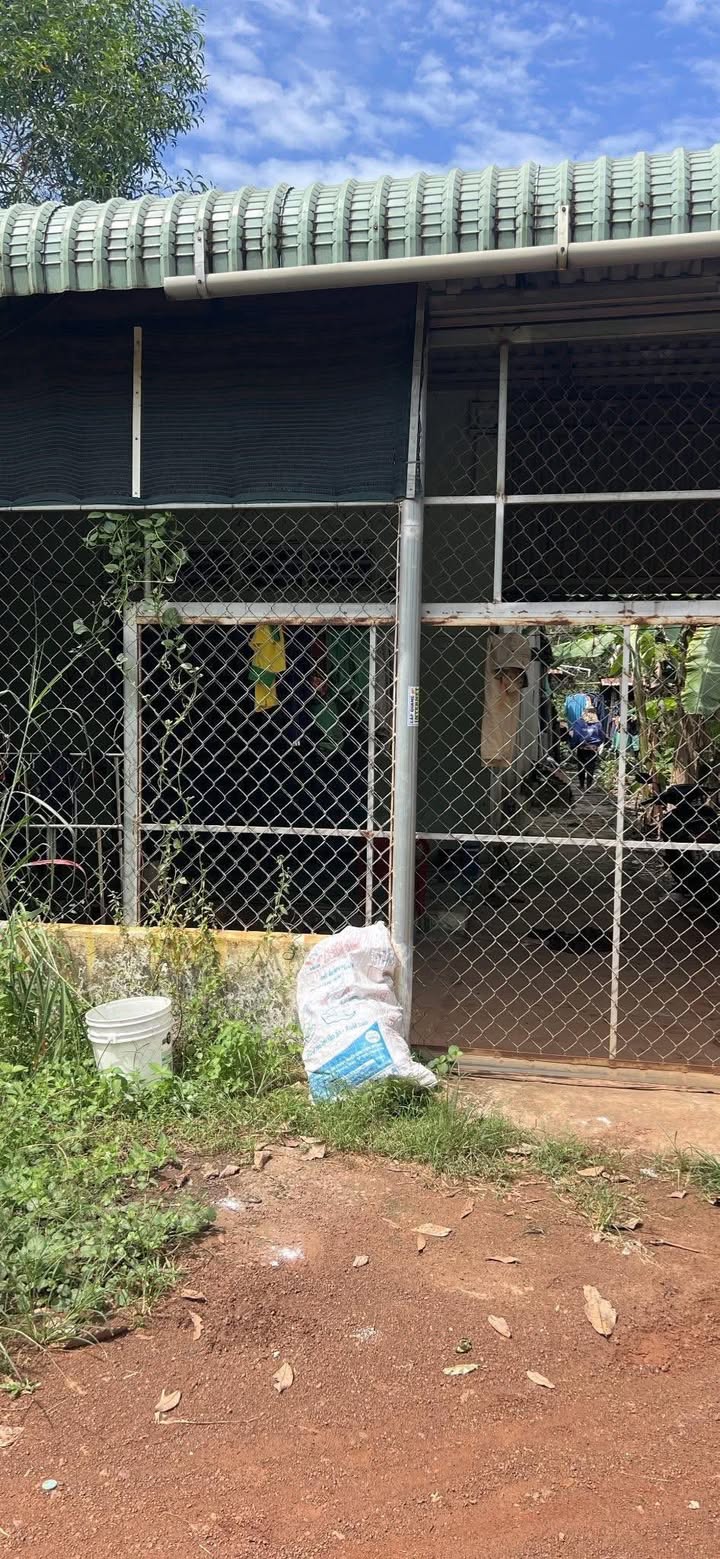 Đất nền Tân Hiệp Hóc Môn 553.4m² giá chỉ 820 triệu - Đầu tư sinh lời ngay!