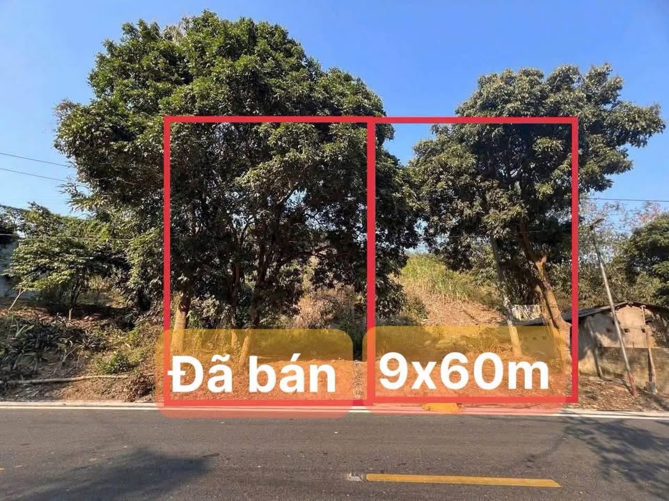 Đất thổ cư 100m² tại Xuân Quang, Lào Cai - Giá chỉ 450 triệu!