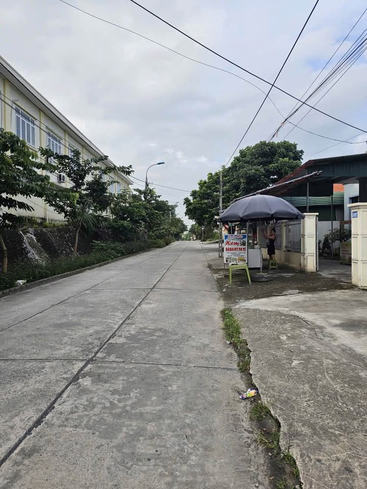 Đất nền chính chủ tại phường Hoàng Quế 169m² chỉ 1 tỷ - Cơ hội đầu tư hấp dẫn!