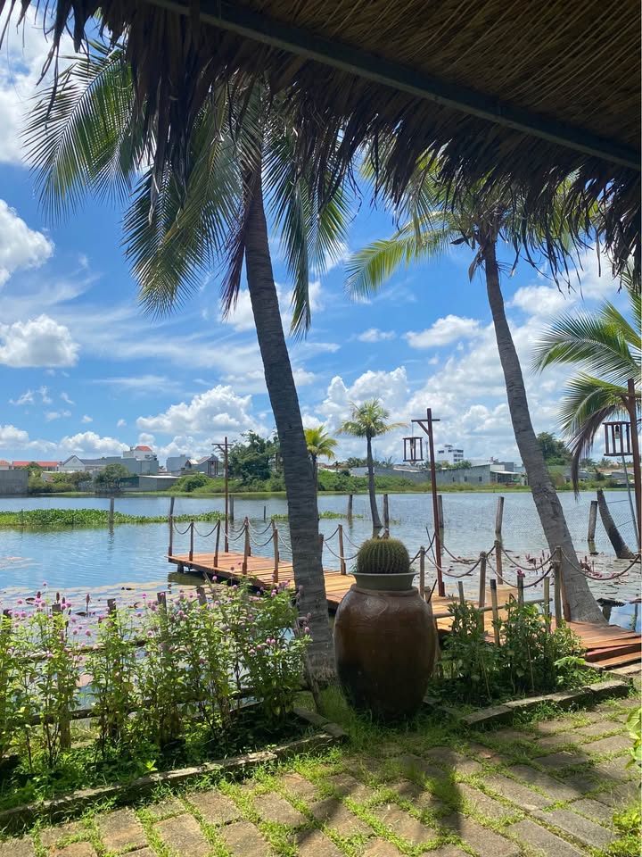 Đất nông nghiệp Hàm Chính, Hàm Thuận Bắc 10ha giá chỉ 5 tỷ - Đầu tư sinh lời ngay!