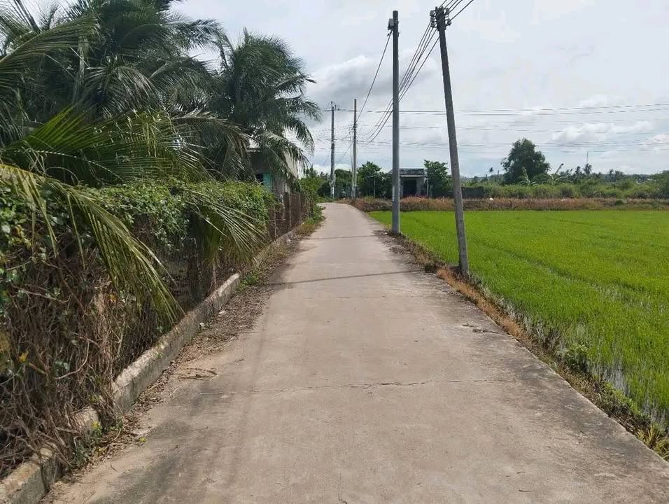 Đất lúa quy hoạch CLN tại Hàm Thắng, 3600m² giá 550 triệu - Cơ hội đầu tư hấp dẫn!