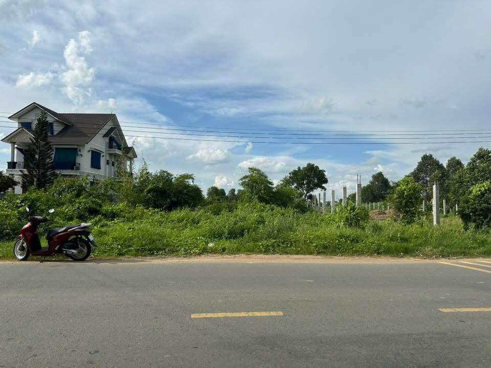 Đất thổ cư mặt tiền đường Nguyễn Thông, xã Bình Tâm, 300m² - Sổ đỏ chính chủ, giá tốt!