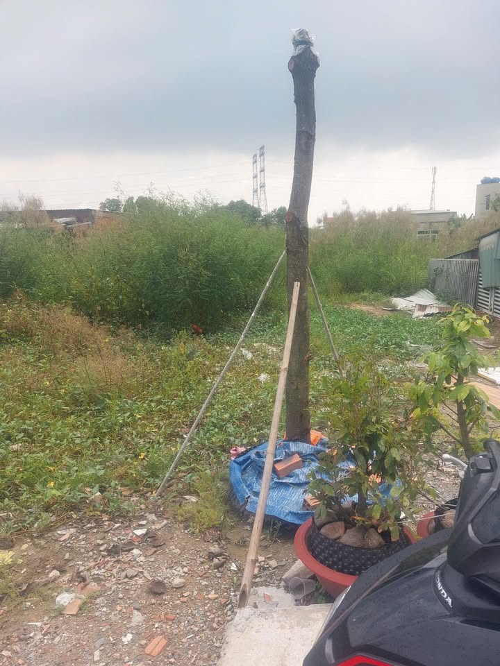 Đất nền KDC Trần Anh, Ấp Mới 2, Long An 570m² - Giá chỉ 1.7 tỷ, cơ hội đầu tư tuyệt vời!