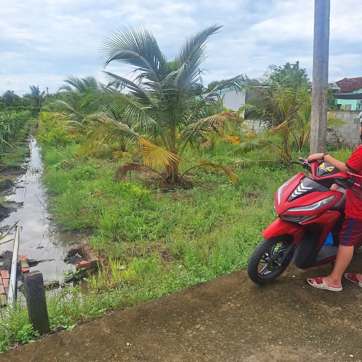 Đất vườn 557m² Trung Hòa Chợ Gạo giá 750 triệu - Đường ô tô vào tận nơi!