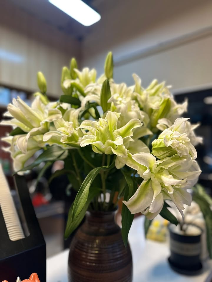 Nhà mặt tiền đường 10/3, Buôn Ma Thuột 226m² giá 5 tỷ - Đầu tư sinh lời ngay!