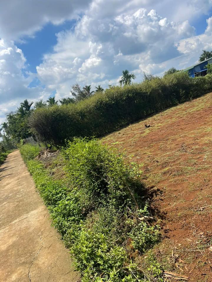 Đất nền 196m² tại xã Ea Tiêu, huyện Cư Kuin - Giá chỉ 2.835 tỷ, đầu tư sinh lời!