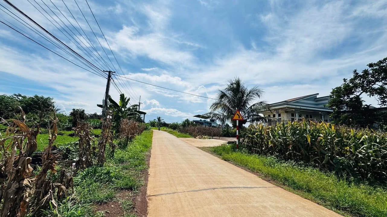 Đất nền 6000m² tại Đắk Wil - Giá 3.5 tỷ - Cơ hội đầu tư hấp dẫn!