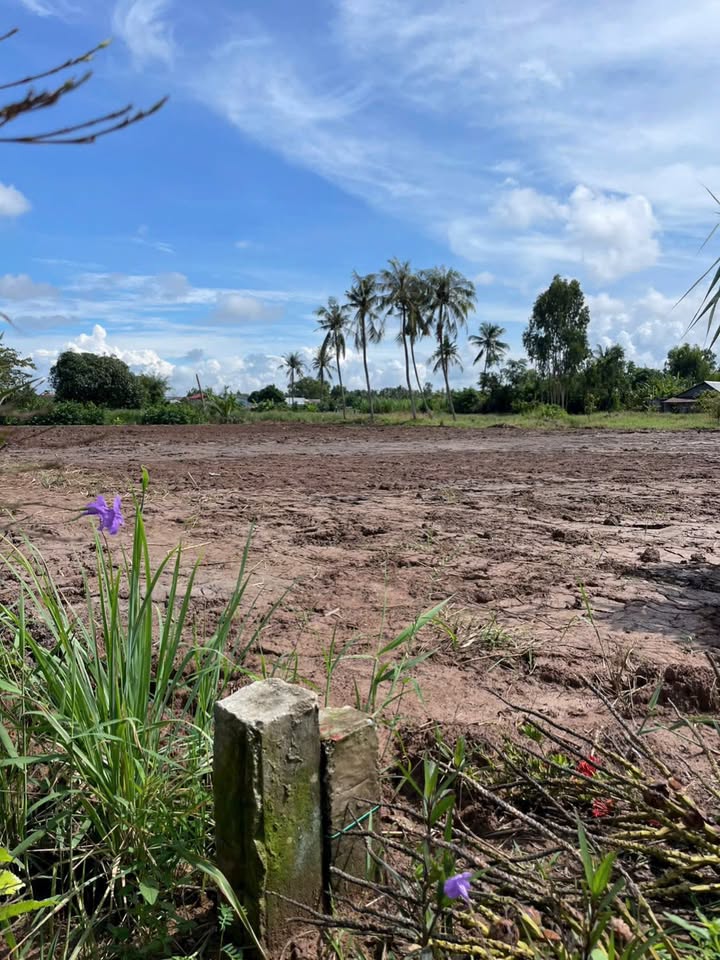 Đất nền xã Phú Thạnh, Tân Phú Đông, Tiền Giang 680m² giá 389 triệu - Nơi an cư lý tưởng!