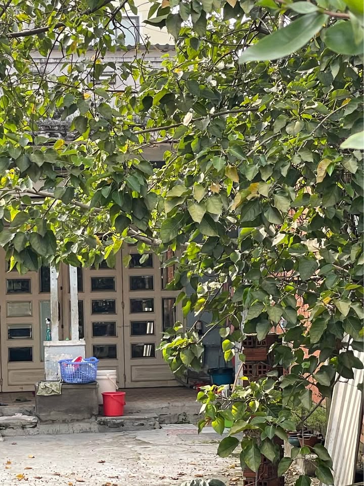 Nhà mặt tiền Nguyễn Văn Quá, Quận 12 - Diện tích 120m², giá 7 tỷ - Lợi nhuận ổn định từ kinh doanh!