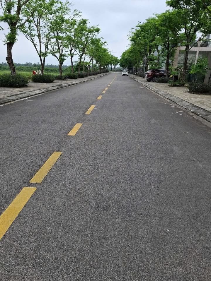 Đất nền khu ADB, Tôn Thất Tùng, Tân Thạnh, 132m² - Giá chỉ 2.6 tỷ!