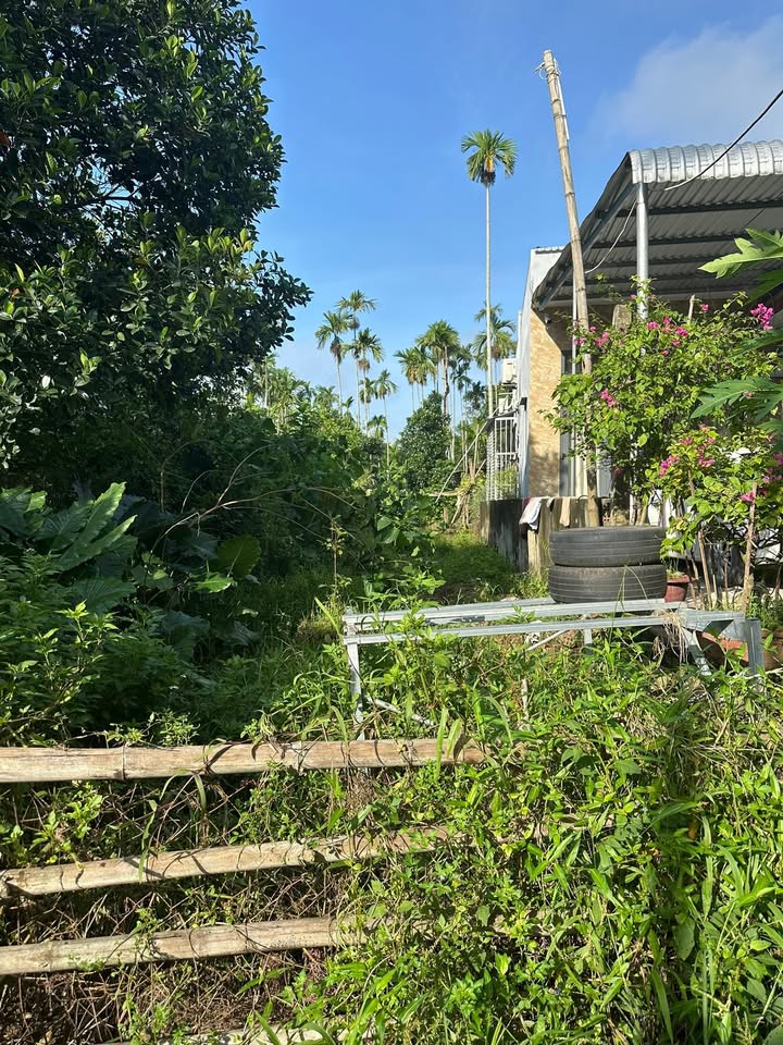 Đất thổ cư Nam Phước 211m² giá 1 tỷ - Khu dân cư đông đúc, tiện ích đầy đủ!