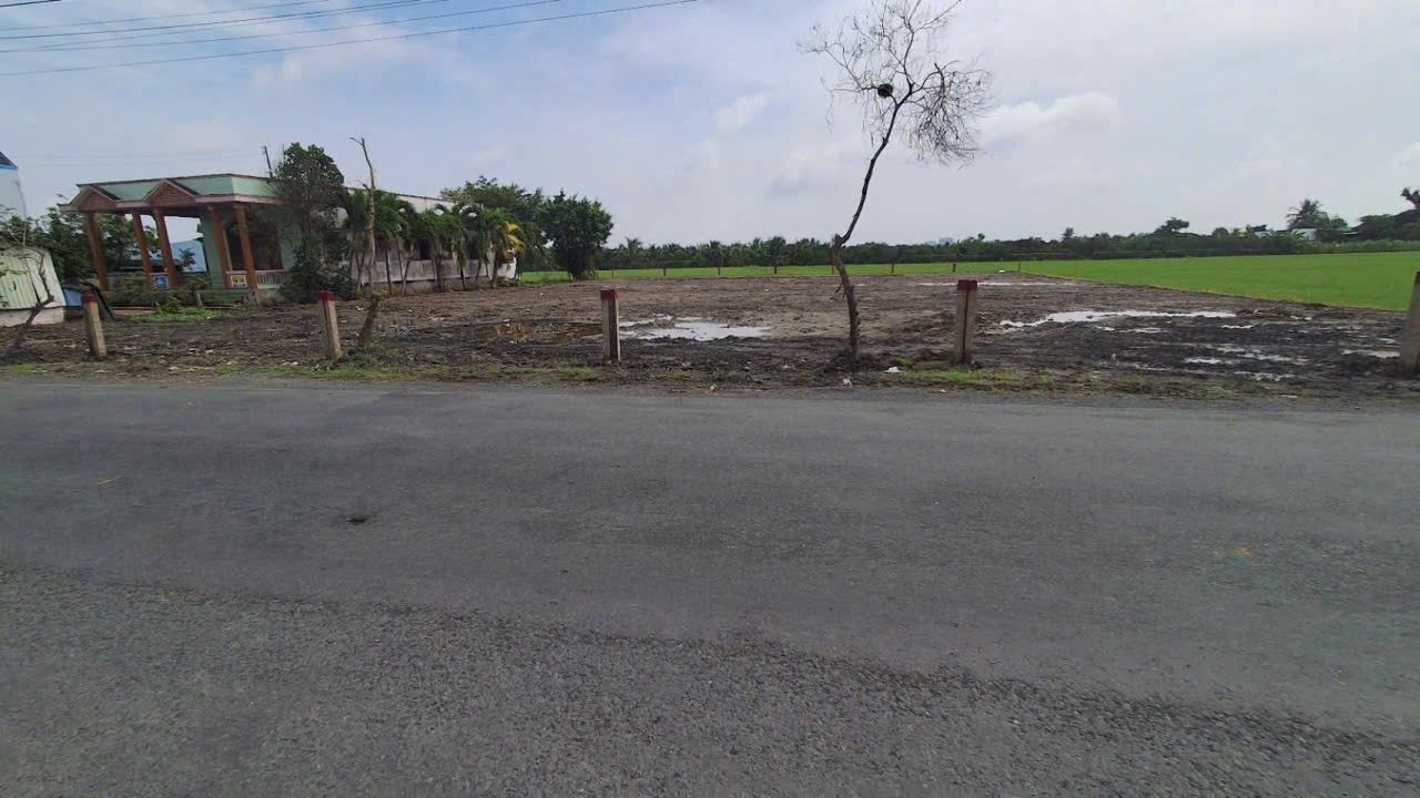 Đất mặt tiền đường Cao Thị Mai, Tân Trụ, Long An - Giá 1.5 tỷ, thích hợp kinh doanh!