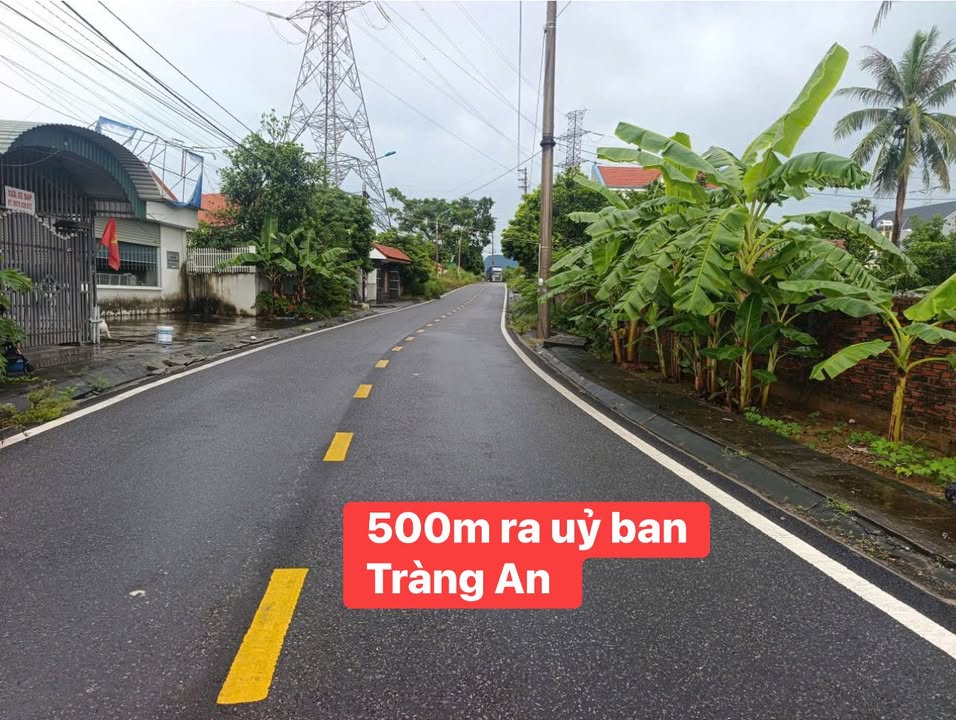 Đất nền Tràng An, Đông Triều 500m² giá 1.5 tỷ - Đầu tư sinh lời ngay!