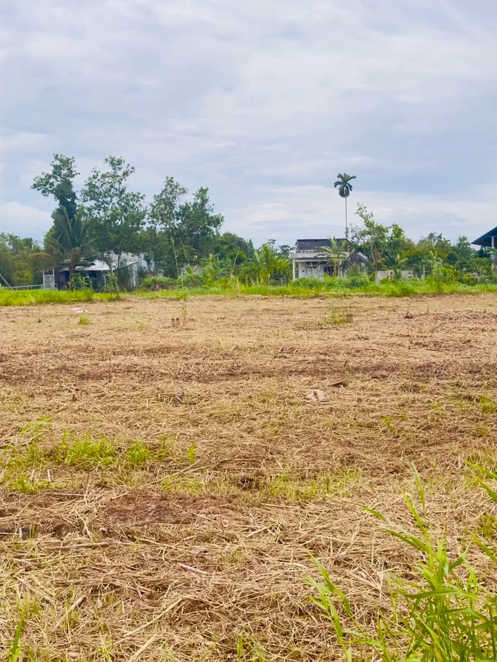 Đất nền Khu Dân Cư Thiên Lộc Cái Răng 100m² giá 680 triệu - Sổ hồng chính chủ!