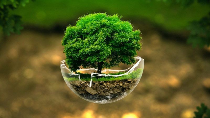 Đất nền mặt tiền Ba Gia, Sơn Tịnh 670m² - Cơ hội đầu tư tuyệt vời!