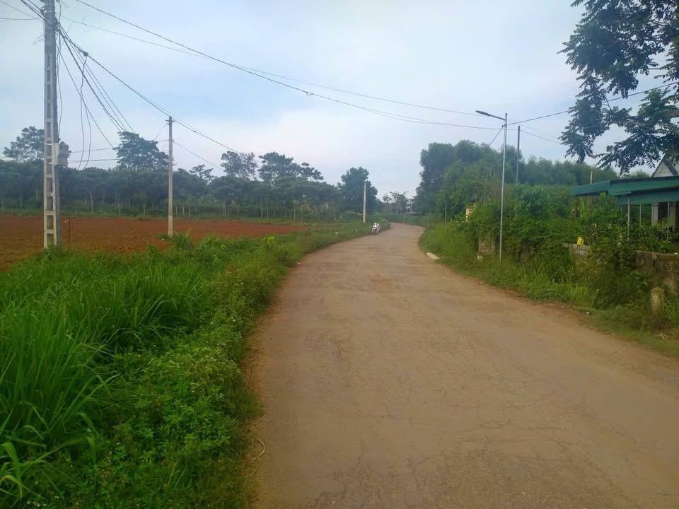 Đất mặt tiền đường nhựa xã Nghĩa Lộc 150m² giá 400 triệu - Kinh doanh thuận lợi!