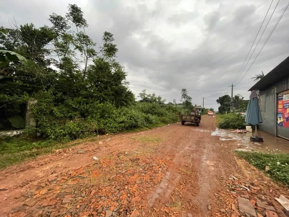 Đất thổ cư xã Hoà Đông, Krông Pắc 250m² giá 1.25 tỷ - Sổ đỏ chính chủ, vị trí đẹp!