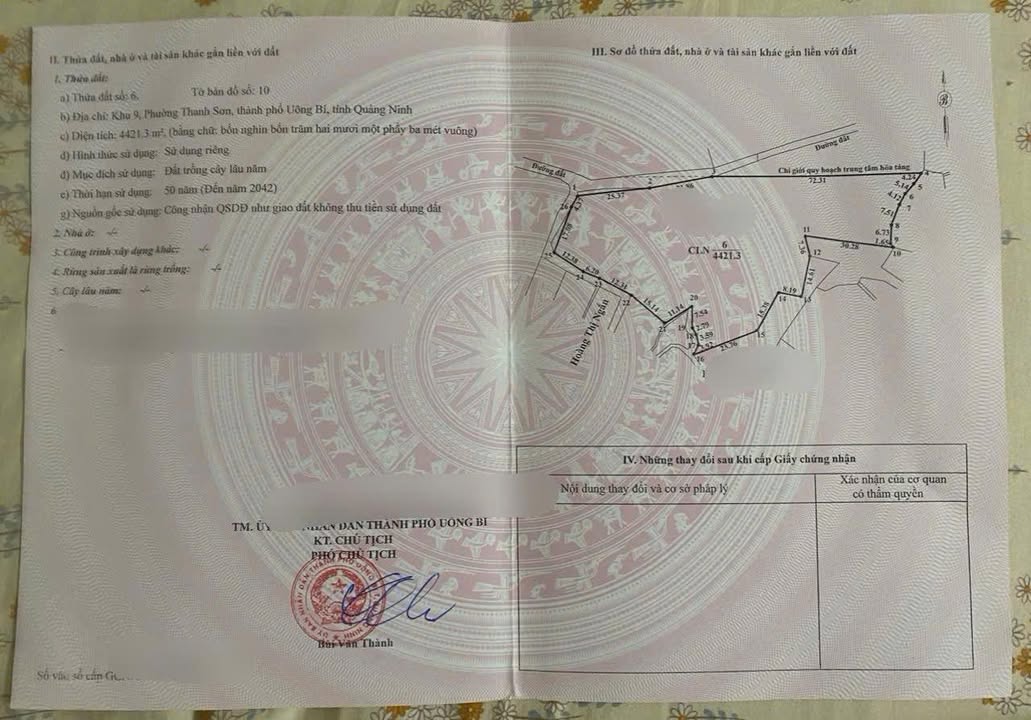 Đất trồng cây lâu năm 4.424m² tại Khu 9, Thanh Sơn - Giá thương lượng hấp dẫn!