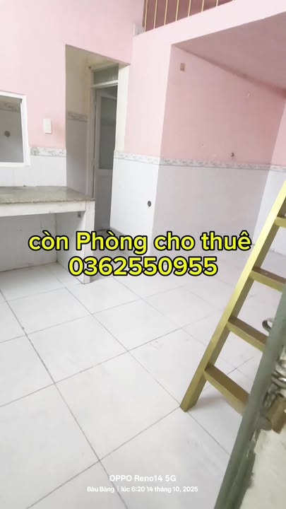 Phòng cho thuê tại Đường N8, Bàu Bàng, Bình Dương - Giá thỏa thuận hấp dẫn!