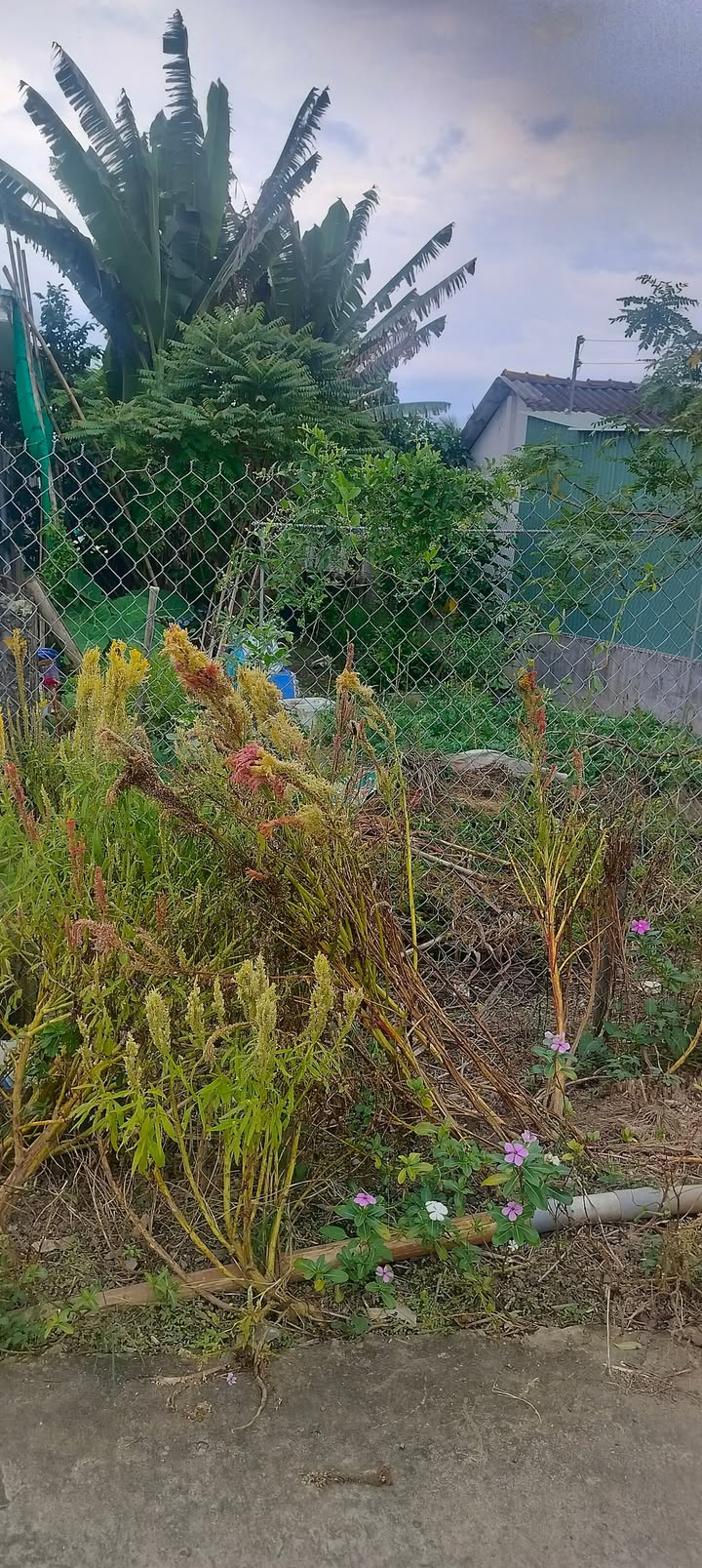 Đất mặt tiền ấp 1, xã Nhị Thành, Thủ Thừa 240m² giá 1.25 tỷ - Cơ hội đầu tư tuyệt vời!