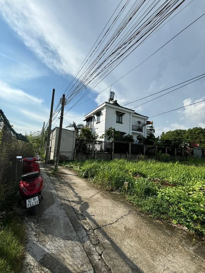 Đất nền Tân Kim, Cần Giuộc 100m² giá 1.4 tỷ - Sổ hồng chính chủ, đường thông thoáng!