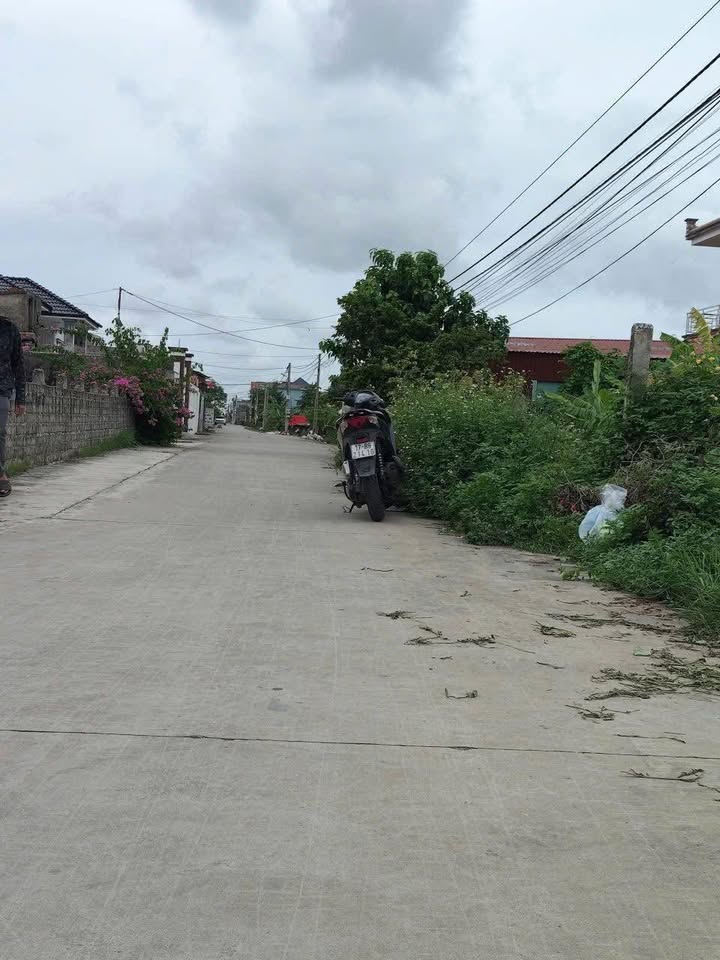 Đất thổ cư xã Thụy Hưng - Thái Thụy 100m² giá 750 triệu - Cơ hội đầu tư hấp dẫn!