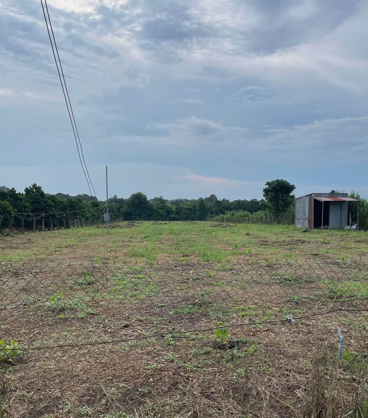 Đất nền Ruộng Lớn, Bảo Vinh, 565m² chỉ 950 triệu - Đầu tư sinh lời!