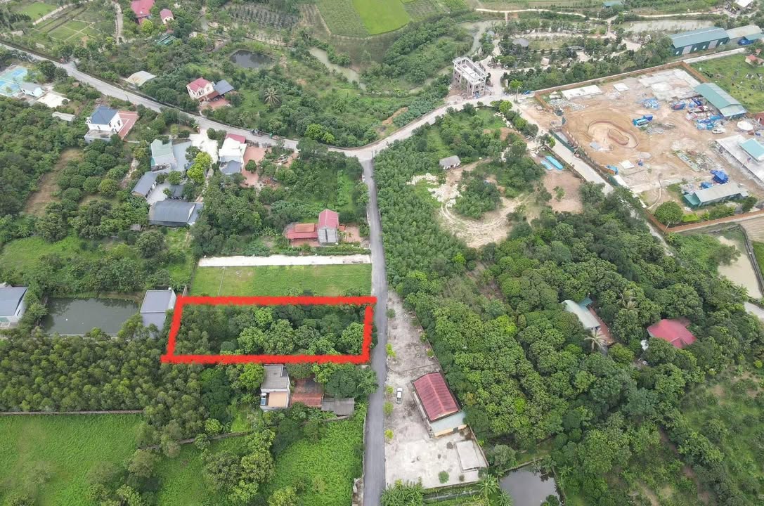 Đất nghỉ dưỡng Ngọc Thanh 2000m² giá 16 tỷ - Cơ hội đầu tư hấp dẫn!