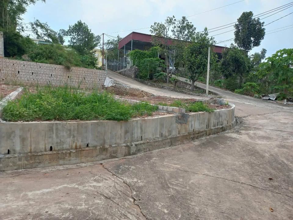 Lô đất Thủy Đường, Thủy Nguyên 59m² giá 1.4 tỷ - Cơ hội đầu tư hấp dẫn!