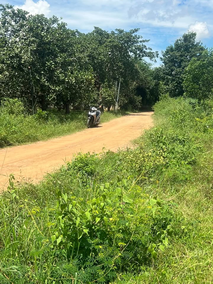 Đất nền Xuân Hiệp 3600m² giá 980 triệu - Sổ hồng đầy đủ, cơ hội vàng đầu tư!