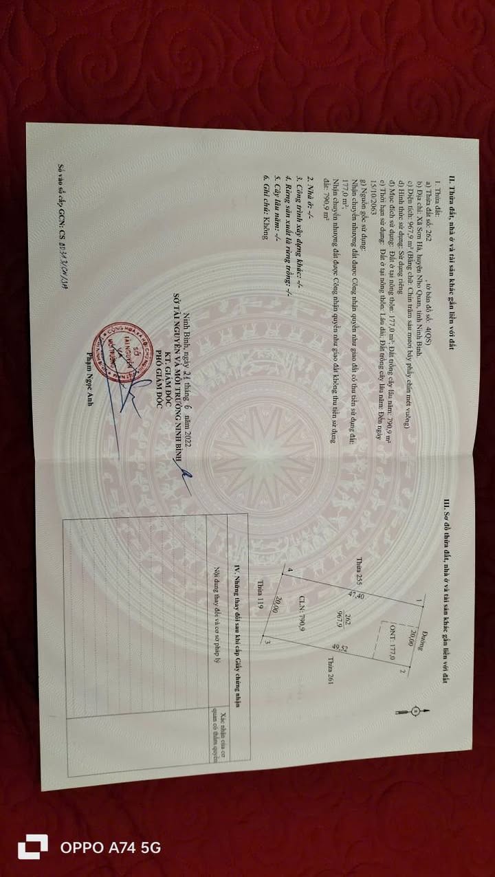 Đất thổ cư 200m² tại phường Tây Hoa Lư, Nho Quan - Cách quốc lộ chỉ 50m!