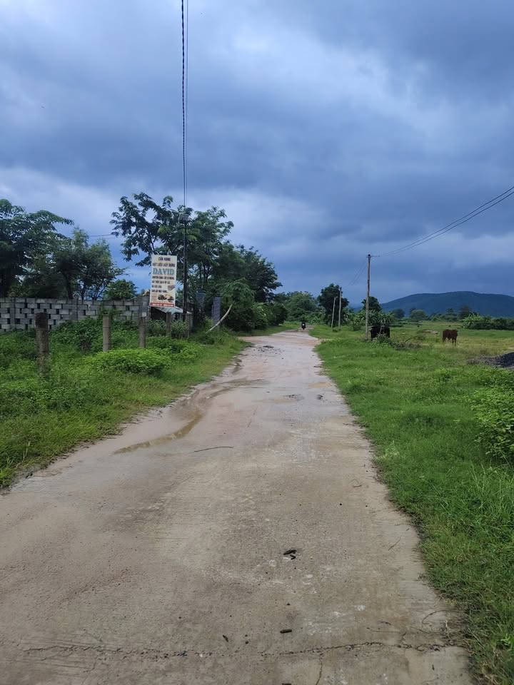 Đất cây trồng 2700m² tại xã Thuận Hòa, Bình Thuận - Giá chỉ 550 triệu, thương lượng