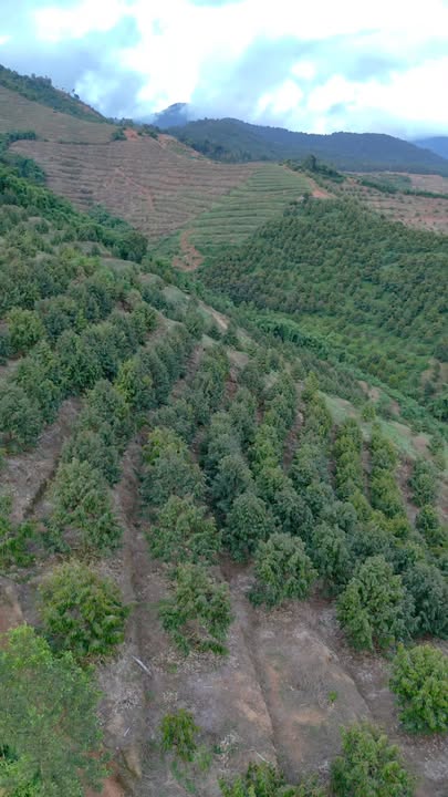 Bán vườn lớn 6ha tại Tây Khánh Sơn - Giá chỉ 9 tỷ VND thương lượng!