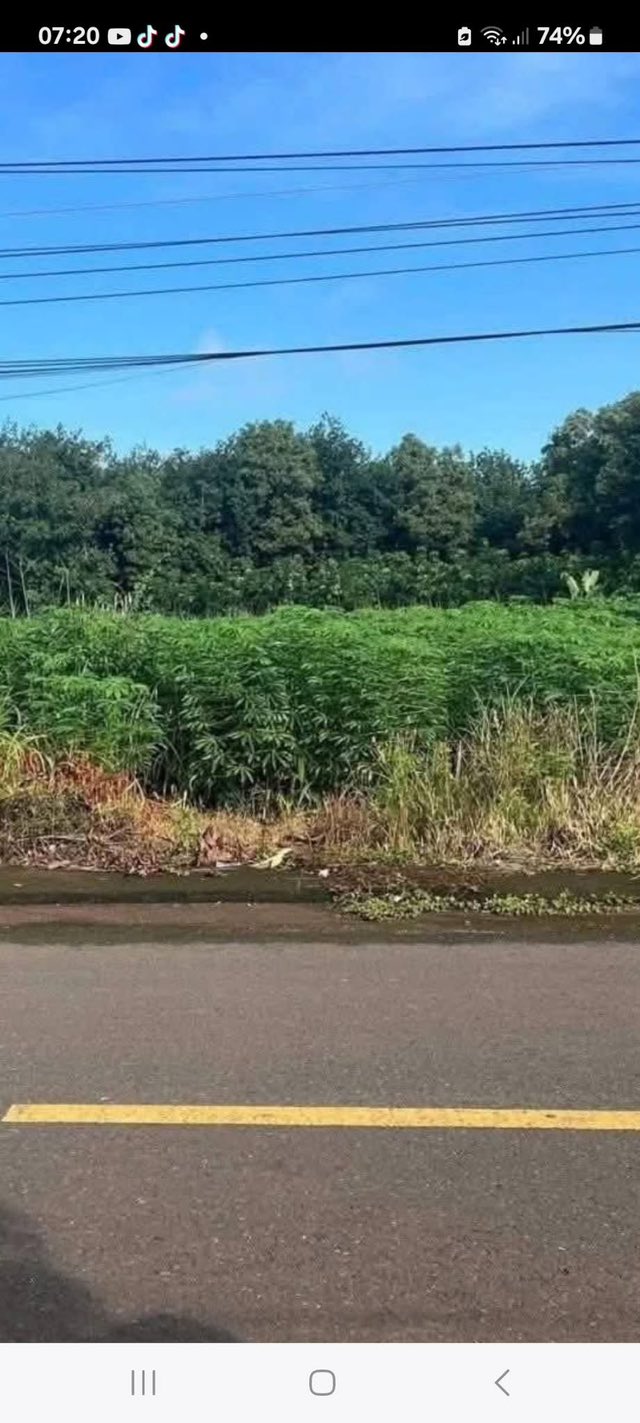 Đất thổ cư Bù Đốp 7000m² giá 91 tỷ - Mặt tiền đường nhựa rộng rãi!