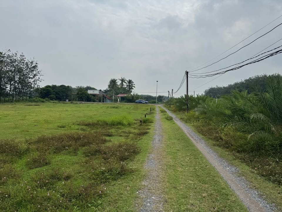 Đất nền Dương Minh Châu, Tây Ninh 130m² giá chỉ 2xx triệu - Đường nhựa thông thoáng!