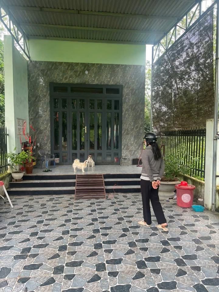 Nhà cấp 4 Tân Đồng, Đồng Xoài 235m² giá chỉ 800 triệu - Cơ hội vàng cho người có tài chính hạn hẹp!