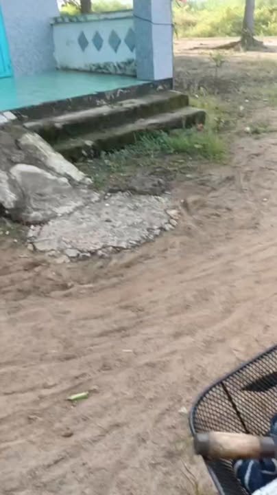 Đất nông nghiệp Thuận Phú, 1,4ha cao su giá 2 tỷ - Đầu tư sinh lời ngay!