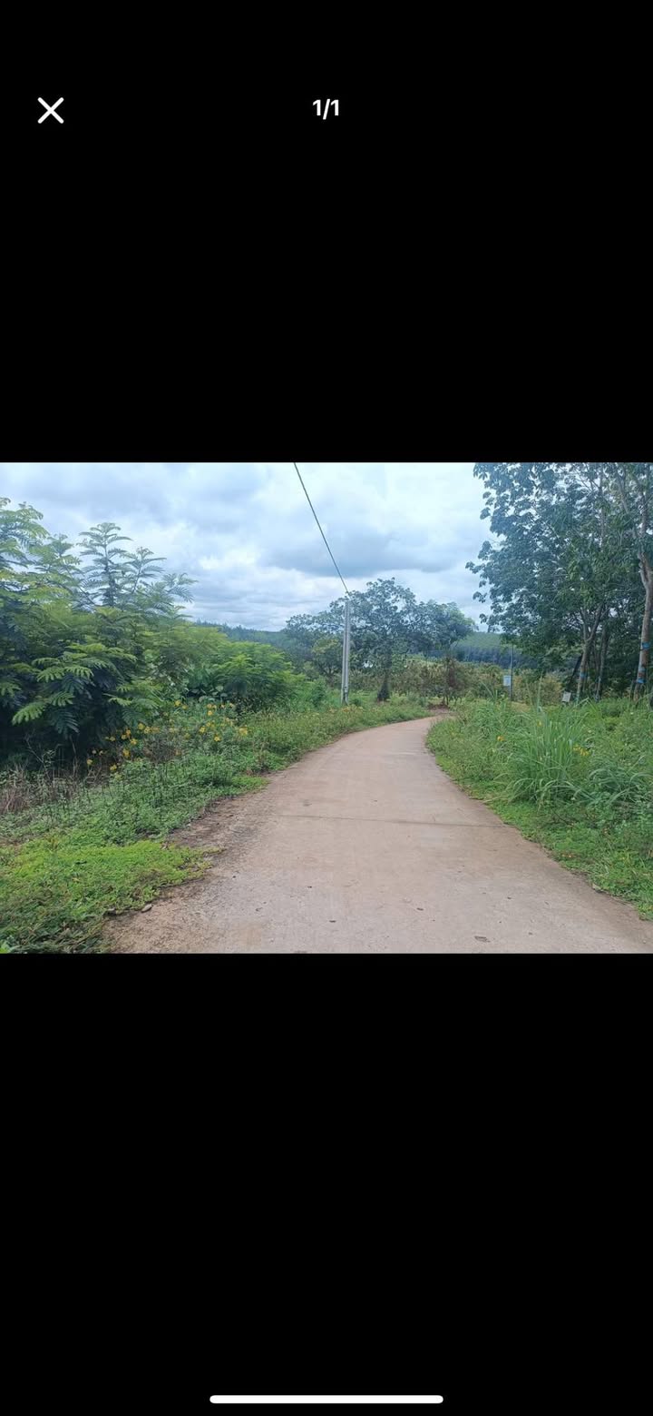 Đất nền Đồng Tâm, Đồng Phú 354m² giá chỉ 350 triệu - Sổ đỏ chính chủ!