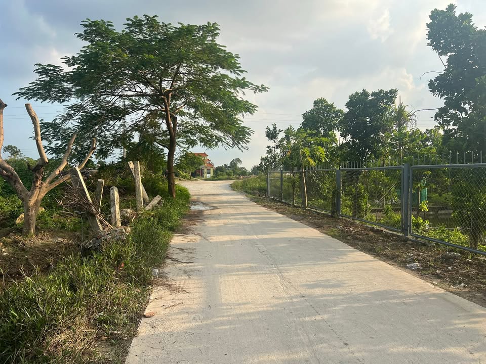 Đất lô góc 920m² Liêm Sơn, Thanh Liêm chỉ 6 tỷ - Đầu tư sinh lời hấp dẫn!