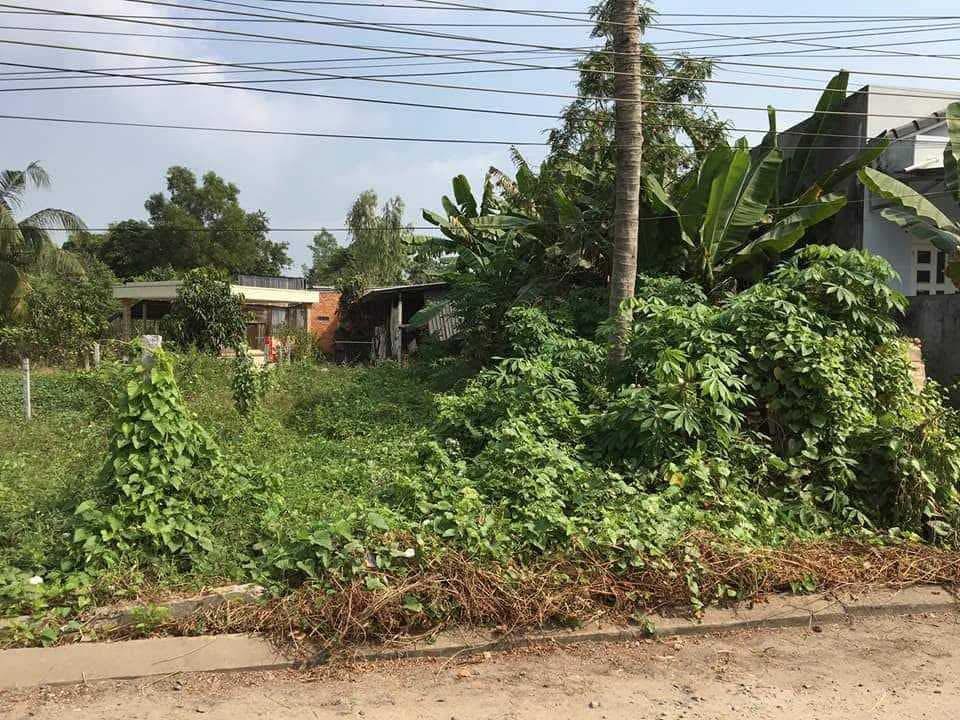 Đất thổ cư 96.5m² tại Phước Thới, Ô Môn, Cần Thơ - Giá chỉ 1.5 tỷ, chính chủ bán!