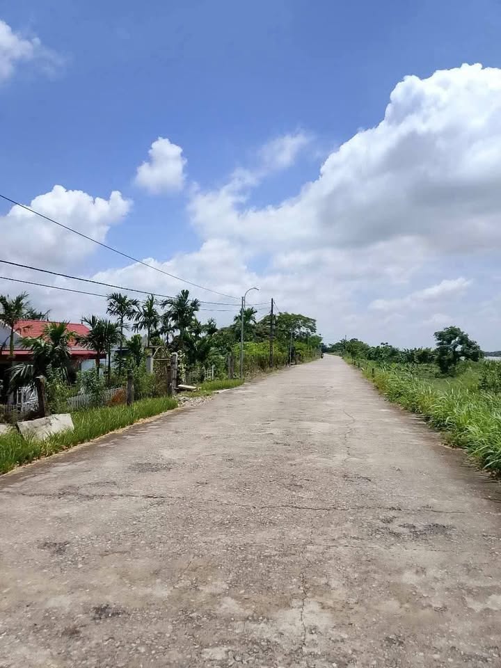 Đất nền Đê Quay, Kim Tân, 400m² giá chỉ 1.6 tỷ - Cơ hội đầu tư tuyệt vời!