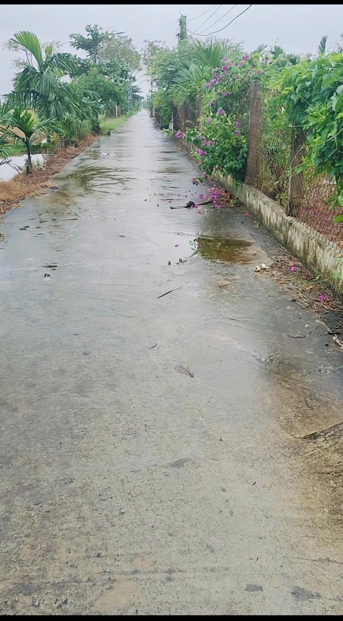 Đất nền góc 2 mặt đường tại Nghĩa Phú 494m² giá chỉ 800 triệu - Cơ hội đầu tư tuyệt vời!