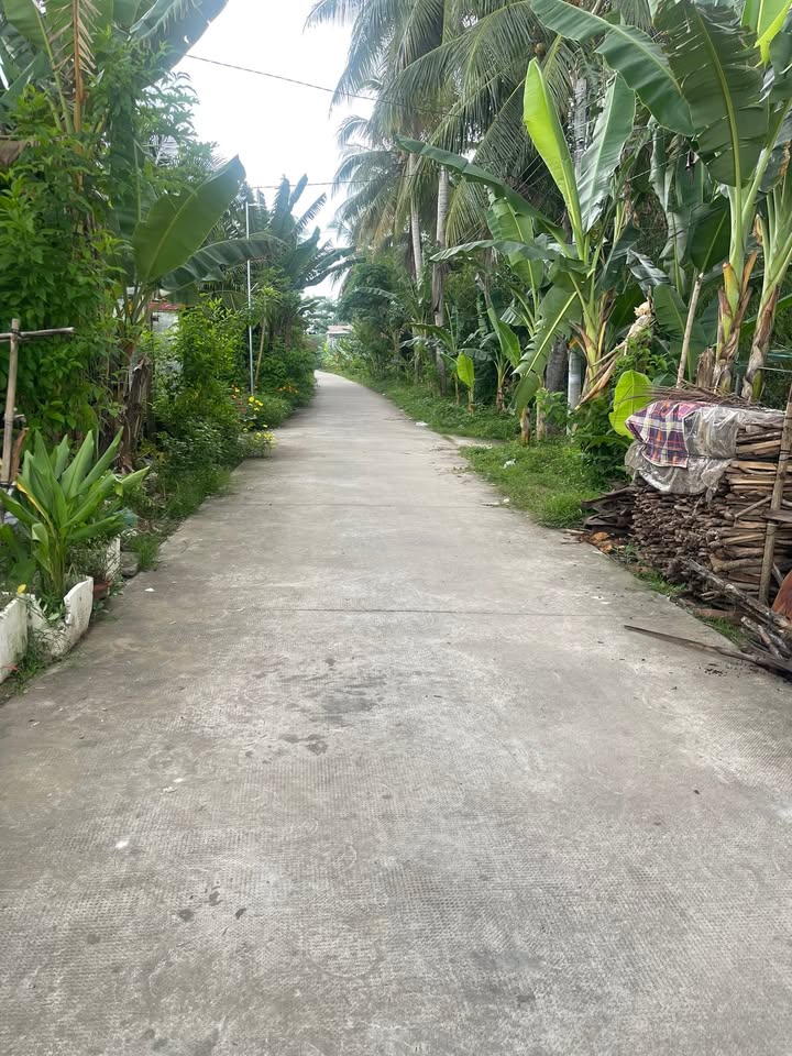 Đất nền 149m² xã Thanh Tân, Mỏ Cày Bắc giá 580 triệu - Đầu tư kinh doanh lý tưởng!