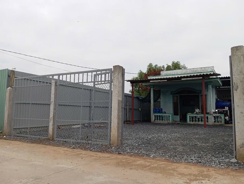 Nhà cho thuê 3 phòng ngủ tại ấp 4 Thạnh Đức, Bến Lức chỉ 3 triệu/tháng - Cơ hội tuyệt vời!