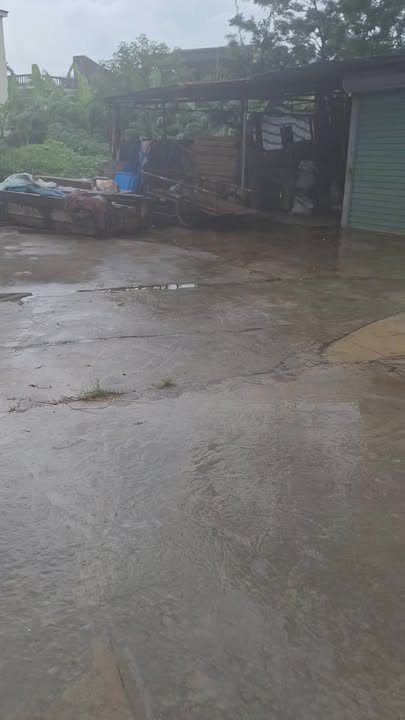 Đất liền kề Hồng Phong, Ninh Giang - 86m² chỉ 800 triệu - Vị trí đắc địa!