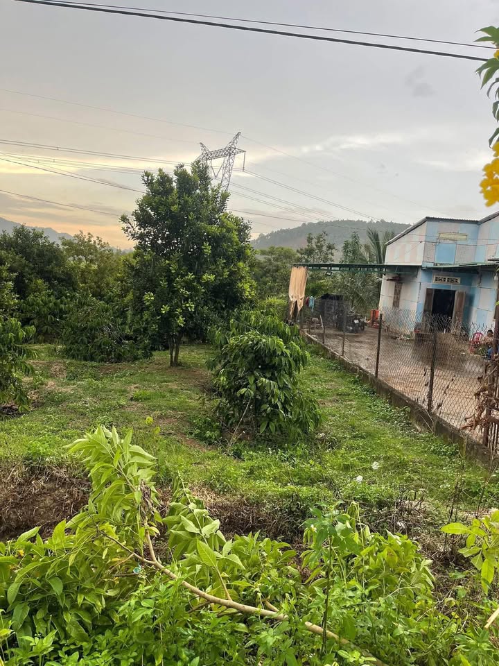 Đất nền xã Đăk Phơi 500m² giá chỉ 400 triệu - Đầu tư sinh lời ngay!