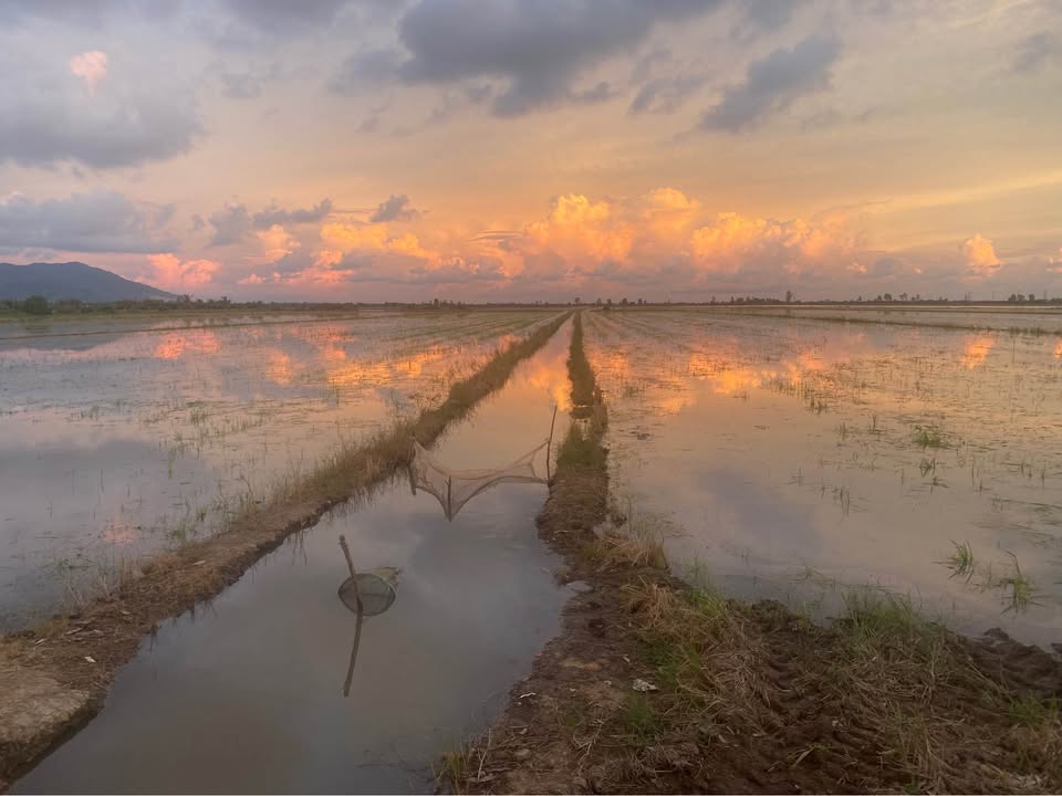 Đất nền 10 công tại Bình Khánh, Long Xuyên - Giá 1.4 tỷ, cơ hội đầu tư sinh lời!