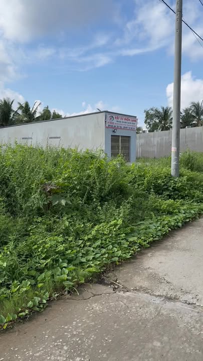 Đất nền sinh lợi tại kênh 8A, xã Thạnh Đông, Tân Hiệp - Diện tích 366m², giá tốt chờ bạn!