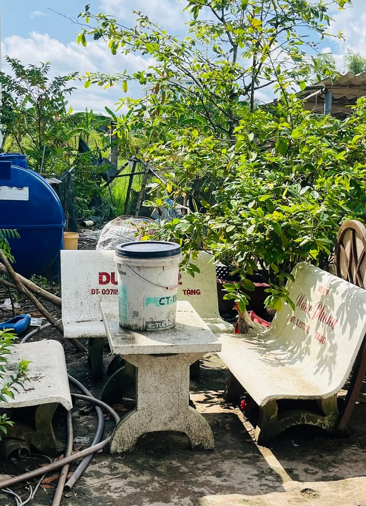 Đất nền Bình Đại 216m² giá 500 triệu - Cơ hội đầu tư không thể bỏ lỡ!