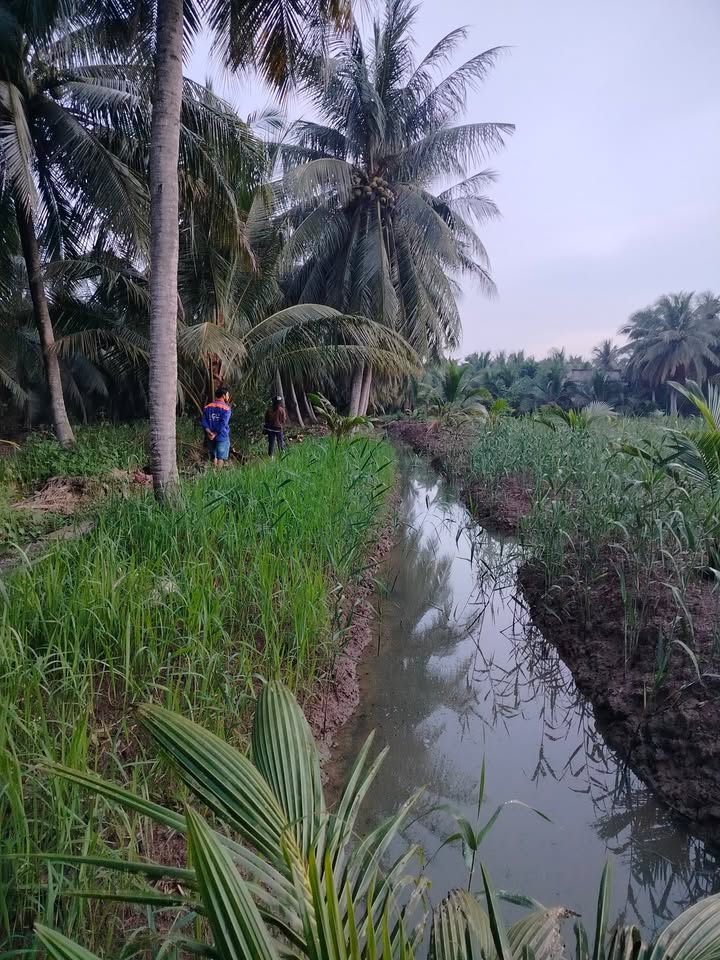 Đất nền Phú Long 1000m² giá 140 triệu - Cơ hội đầu tư tuyệt vời!